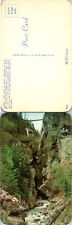 Box Canon, Ouray, CO Postcards unused 52037 picture