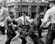 1963 BIRMINGHAM POLICE ATTACK DOGS UNLEASHED ON AFRICAN AMERICAN  Photo (177-L) picture