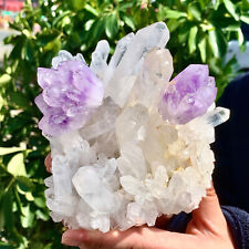 2.34LB  Rare gorgeousAmethyst and Clear quartz Cluster crystal Symbiotic Specime picture