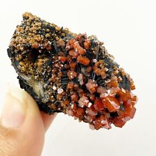 Red Vanadinite Crystal Cluster with matrix From Morocco  - 52g rare Minerals picture