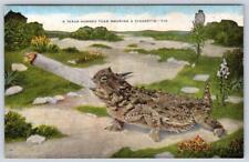TEXAS HORNED TOAD SMOKING A CIGARETTE HUMOR EXAGGERATED VINTAGE POSTCARD picture