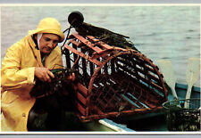 Postcard Maine Fisherman in Yellow Rain Slicker with Lobster Traps Unused Card picture