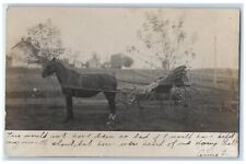 1906 Woman Riding Horse And Buggy Alexandria Iowa IA RPPC Photo Antique Postcard picture