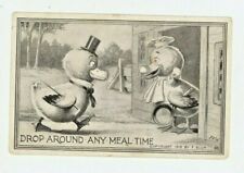 Vintage Postcard HUMOR   DUCKS  DROP AROUND FOR MEAL TIME   POSTED  1910 picture