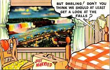 NIAGARA FALLS JUST MARRIED HONEYMOON HUMOR COMIC CHROME PC ~ BUT DARLING DON'T picture
