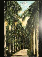 Vintage Postcard 1907-1915 Royal Palm Drive Honolulu Hawaii (HI) picture