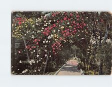 Postcard A Bower of Roses On the Road of a Thousand Wonders USA North America picture