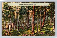 Menomonie WI-Wisconsin, Scenic General Greetings Forest, Vintage Postcard picture