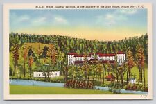 White Sulphur Springs shadows of Blue Ridge Mount Airy NC Linen Postcard No 4579 picture