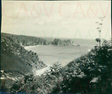 1954 Cornwall Newquay A cove Original 3.2x2.2