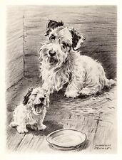 Vintage Sealyham Terrier Print Morgan Dennis Illustration Wall Art 4606n picture