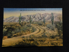 Catalina Mountains near Tucson Arizona Vintage linen postcard~ Cactus picture