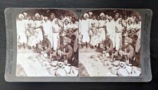 1903 Calcutta India Snake Charmers African Python Russells Viper Stereoview Card picture