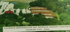 Cashman Greenhouses Sherman Nursery Company Charles City Iowa Vintage Postcard picture