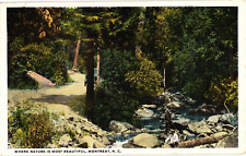 Where Nature Is Most Beautiful Montreat NC White Border Postcard 1920 picture