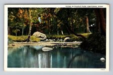 Owatonna MN-Minnesota, Scene in Tourist Park, Antique Vintage Postcard picture