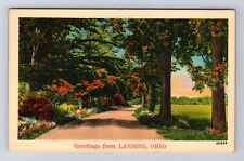 Lansing OH-Ohio, Scenic Greetings, Roadway, Antique, Vintage Postcard picture