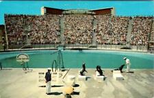 CA, California  MARINELAND OF THE PACIFIC  Backstage Sea Arena~Seals  Postcard picture