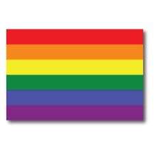 Magnet Me Up Gay Pride Rainbow Flag Car Magnet Decal-LGBT-4x6-Waterproof Lesbian picture