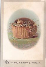 1800's Victorian Card-Wish You Happy Birthday -Kitty Cat in Basket picture
