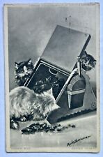 Cats Playing In A Coal Bin. 1906. Vintage Cat Postcard picture