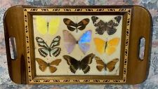 Vintage 1950’s Art Deco Pressed Butterfly Brazil Inlaid Souvenir Tray 13” Decor picture