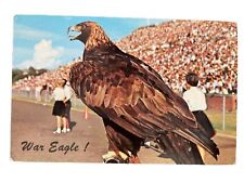 War Eagle IV The Mascot Auburn Tigers University Alabama AL Vintage Postcard UNP picture