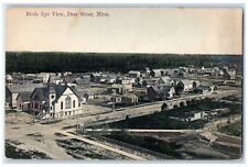 c1910 Birds Eye View Exterior Building Deer River Minnesota MN Vintage Postcard picture