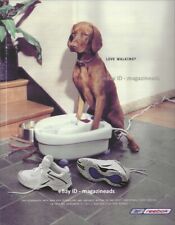 vintage REEBOK 1-Page PRINT AD 2002 Roadspeed VIZSLA dog soaking feet picture