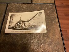 Early Smithsonian Institute 70 Foot Dinosaur Skeleton Postcard picture