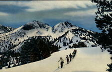 Snow skiers Blue Mountains Oregon ~ Anthony Lakes ~ 1950s-60s vintage postcard picture