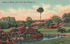 Postcard LA New Orleans Azaleas in Bloom City Park Linen Vintage PC J8354 picture