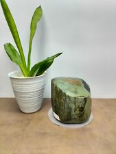 Rare green petrified wood polished natural home decor and collection 1547gr 348 picture