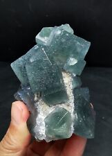 355g Rare Natural Green Cube Fluorite Quartz Crystal Mineral Specimen Mongolia picture