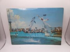 c1946 Florida Souvenir Glossy, Oversize Postcard: Marineland, Marine Studios, picture