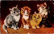 1909 POSTCARD FOUR ADORABLE KITTENS ARTIST SIGNED A7 picture