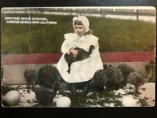 Vintage Postcard 1907-1915 Cawston Ostrich Farm South Pasadena California (CA) picture
