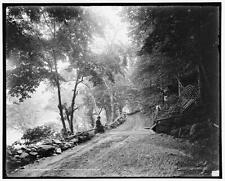 Photo:The River road near the Kittatinny [House], Delaware Water Gap, Pa. picture