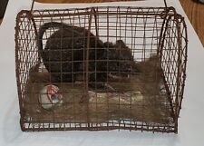 Rat Mouse Vintage Halloween Animal Rat in Metal Cage with Skull & Bone 7