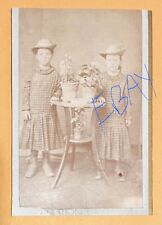 Vintage 1800s CDV Photo 2 Same Dressed Sisters & Flower Pots -SARAN AC, MICHIGAN picture