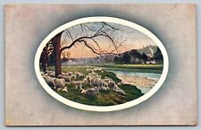 Vintage Postcard 1910's Group of Sheep Drove Flock Animals Forest Illinois ILL picture