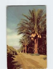 Postcard Dates Coachella Valley California USA picture