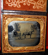 Very Rare 1/6th size Ruby Ambrotype outdoor scene in full case picture