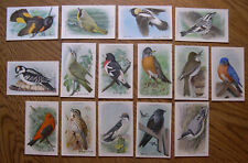 Church & Dwight Useful Birds of America Complete Set 15 Cards 9th Series picture