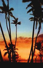 Postcard HI Sunset in Hawaii Palm Trees Unposted 1964 Chrome Vintage PC G8228 picture