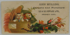 Two Adorable Kittens in Woven Basket Carpet & Furniture Jersey City - Trade Card picture