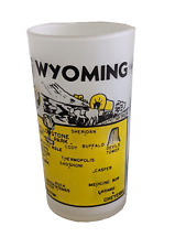 VTG Wyoming Souvenir Frosted Glass 5