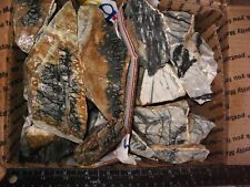 BOX OF 1/2 PRIMO PICASSO 1/2 PRIMO SPIDER WEB MARBLE,CAB,SLAB,LAPIDARY 16+POUNDS picture