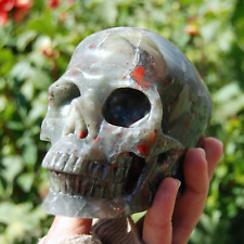 5in HUGE African Bloodstone Crystal Skull, Realistic Gemstone Carving picture