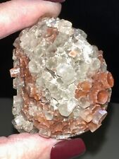 Aragonite Cluster Raw,Quartz crystal,Metaphysical,Unique gift,Healing,Zodiac picture
